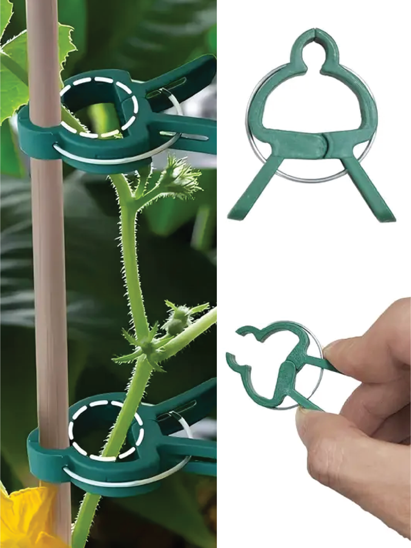 PLASTIC CLIPS FOR PLANTS - SET OF 20