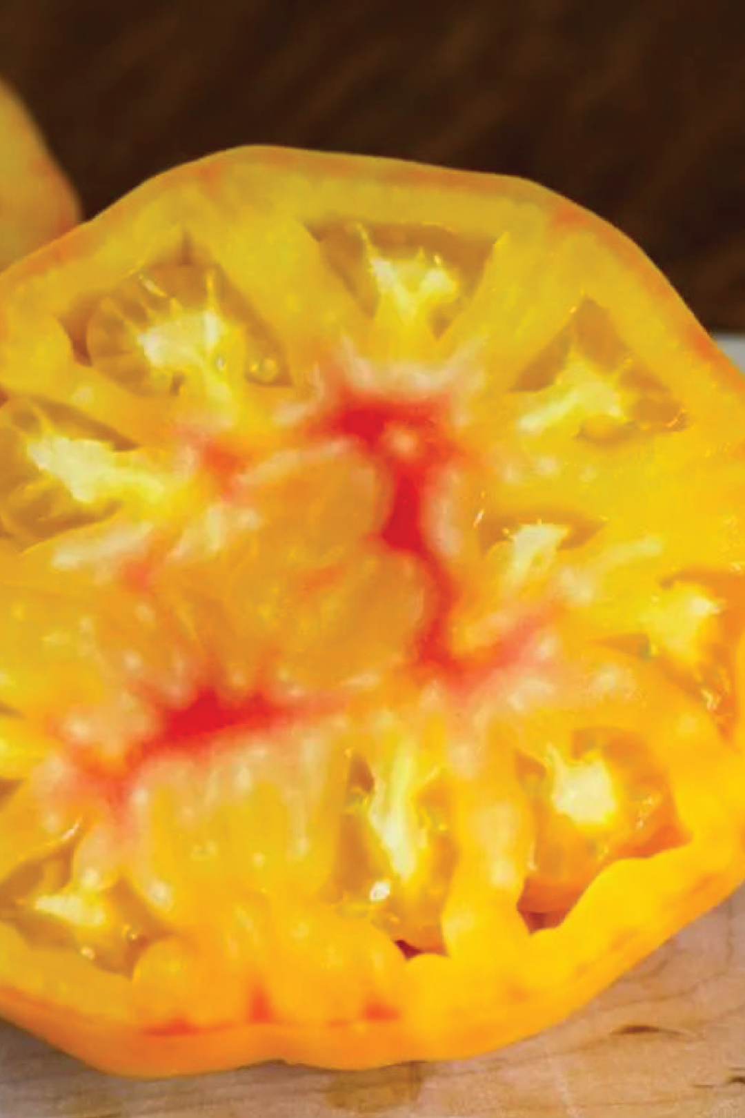 ORGANIC BIG RAINBOW TOMATO SEEDLING <br> شتلات الطماطم بيج رينبو العضوية