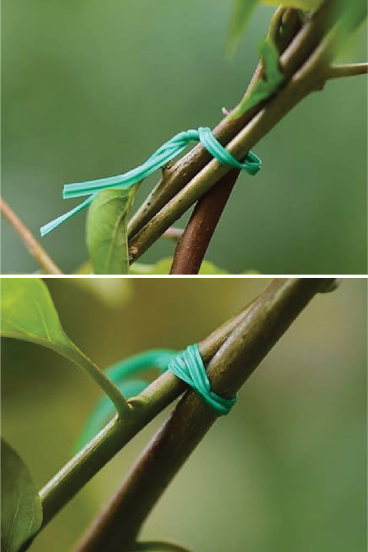 TWIST TIE WIRE ROLL WITH CUTTER