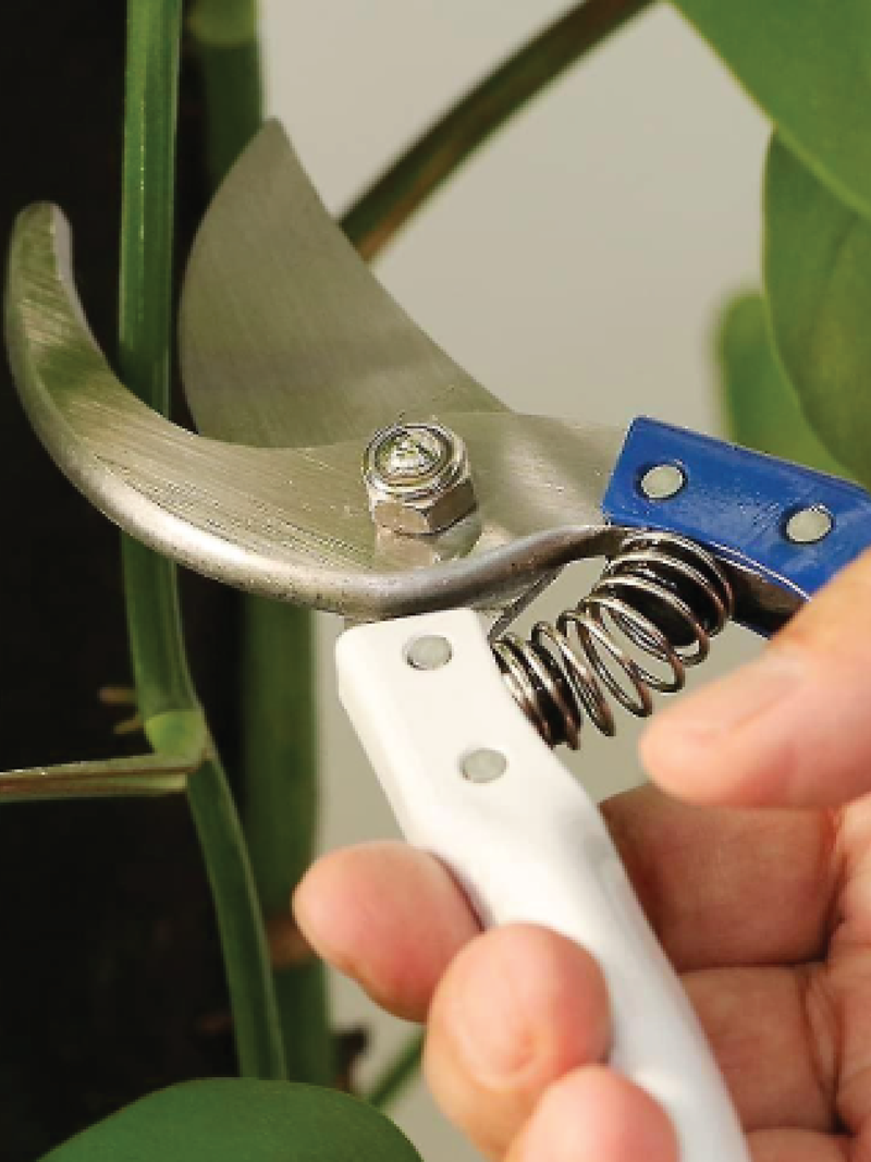 PRUNING SHEAR
