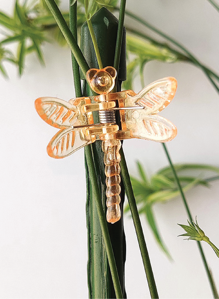 DRAGONFLY CLIPS