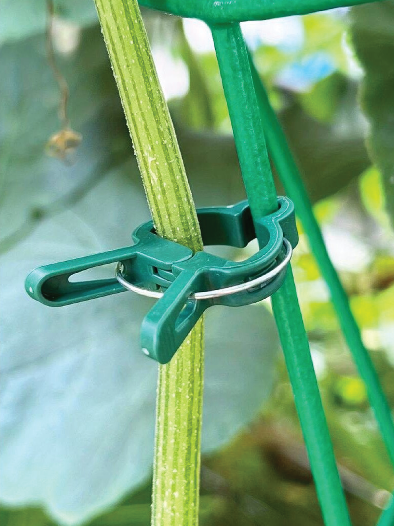 PLASTIC CLIPS FOR PLANTS - SET OF 20