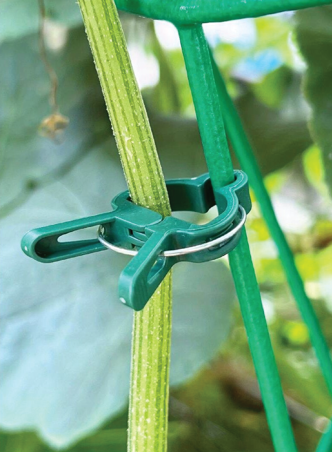 PLASTIC CLIPS FOR PLANTS - SET OF 20