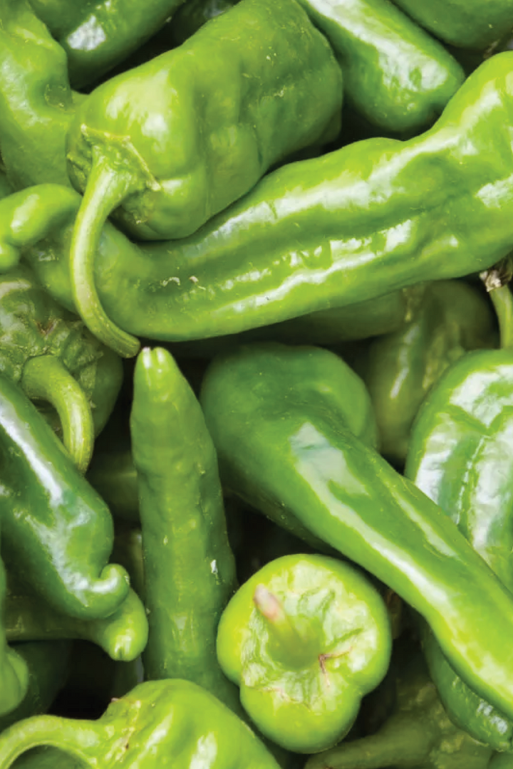 بذور فلفل حار رفيع القشرة