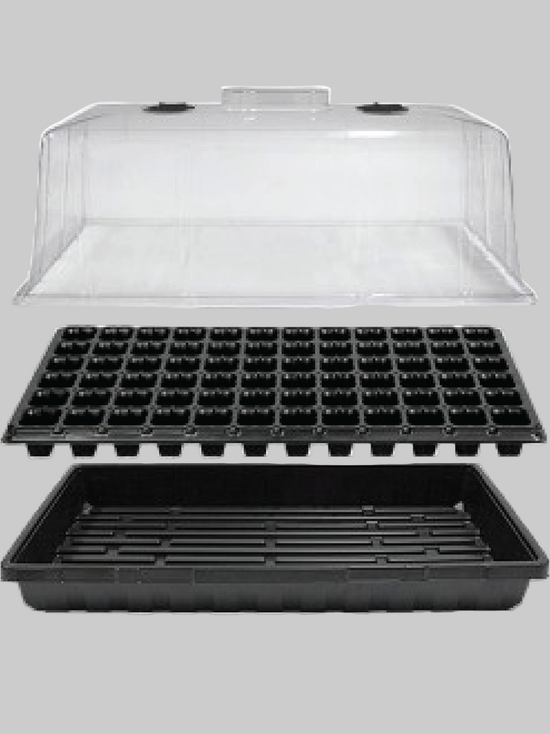 SEEDS STARTER TRAY 72 SLOTS <br> صينية تشتيل 72 فتحة