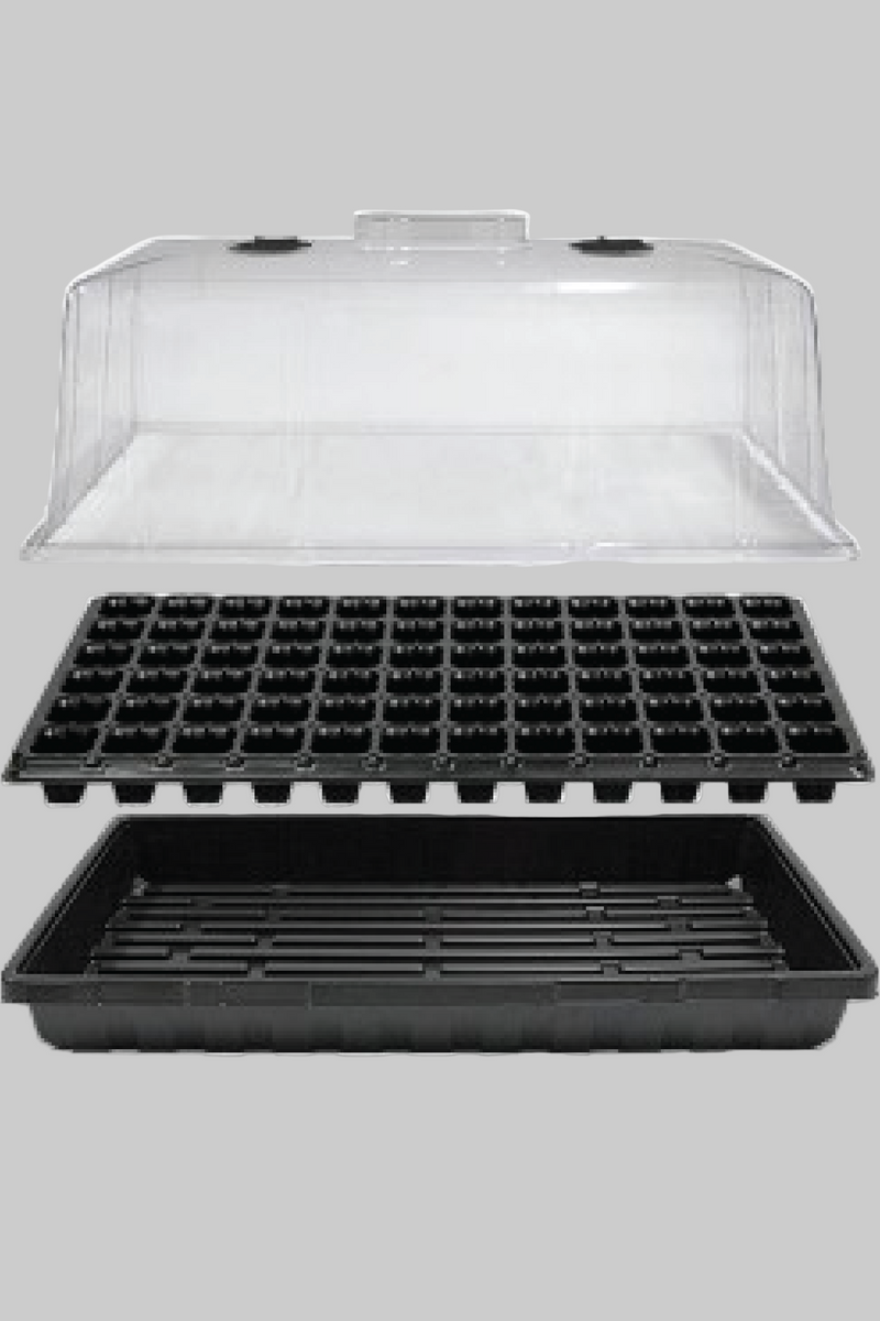 SEEDS STARTER TRAY 72 SLOTS <br> صينية تشتيل 72 فتحة