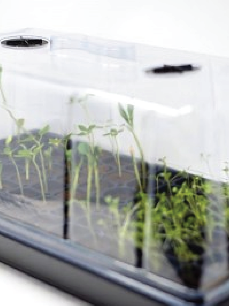 SEEDS STARTER TRAY 72 SLOTS <br> صينية تشتيل 72 فتحة