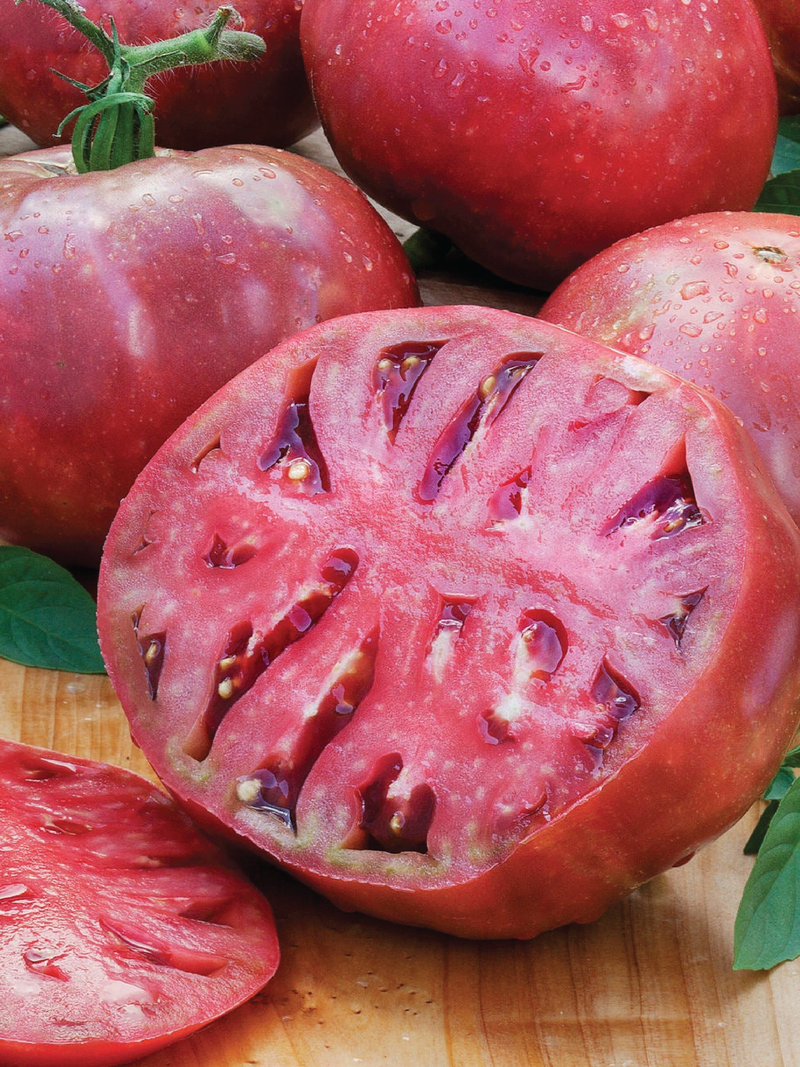 CHEROKEE PURPLE TOMATO SEEDS <br> بذور طماطم شيروكي الأرجوانية