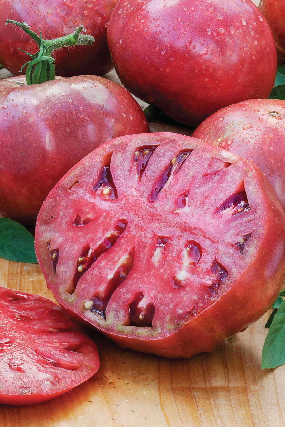 ORGANIC TOMATO CHEROKEE PURPLE SEEDLING<br>شتلات الطماطم شيروكي بيربل العضوية