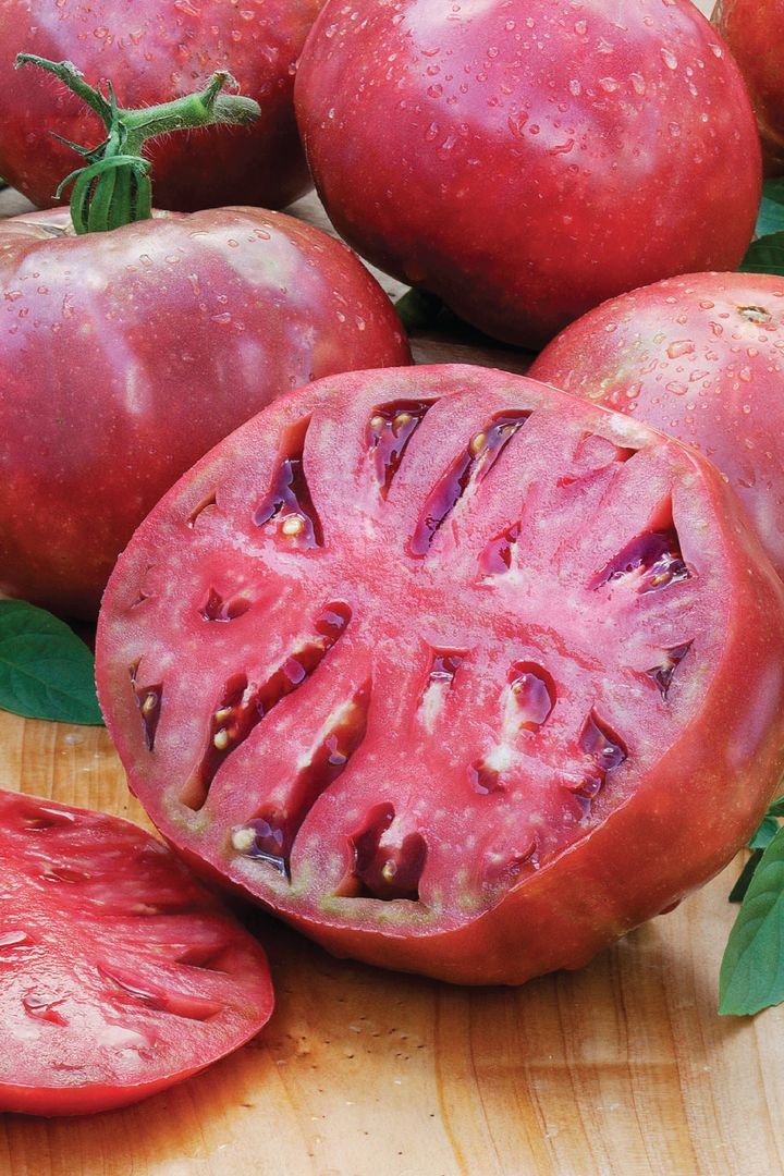 ORGANIC TOMATO CHEROKEE PURPLE SEEDLING<br>شتلات الطماطم شيروكي بيربل العضوية
