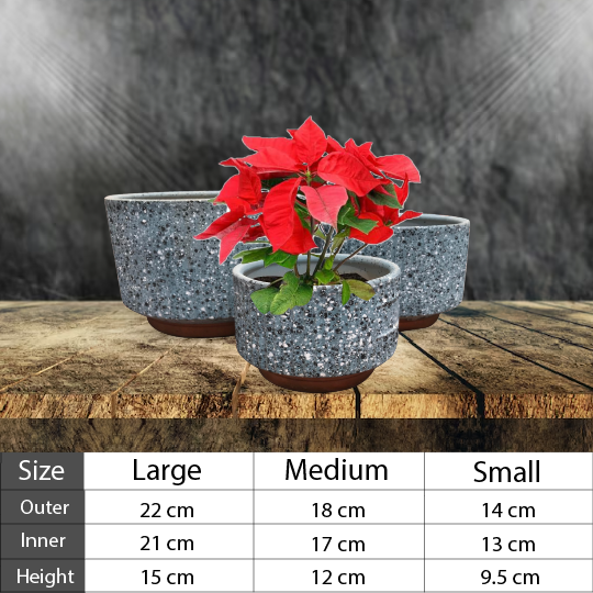 Ceramic Pots and Planters Set of 3