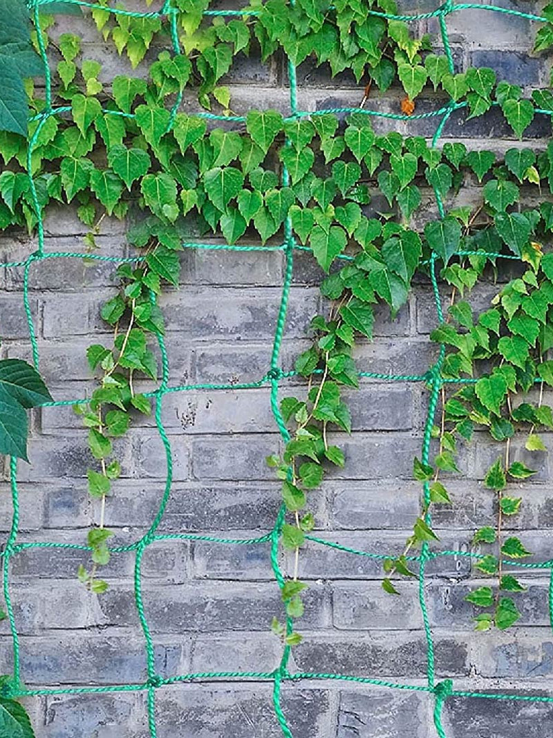 Garden Netting For Climbing Plants