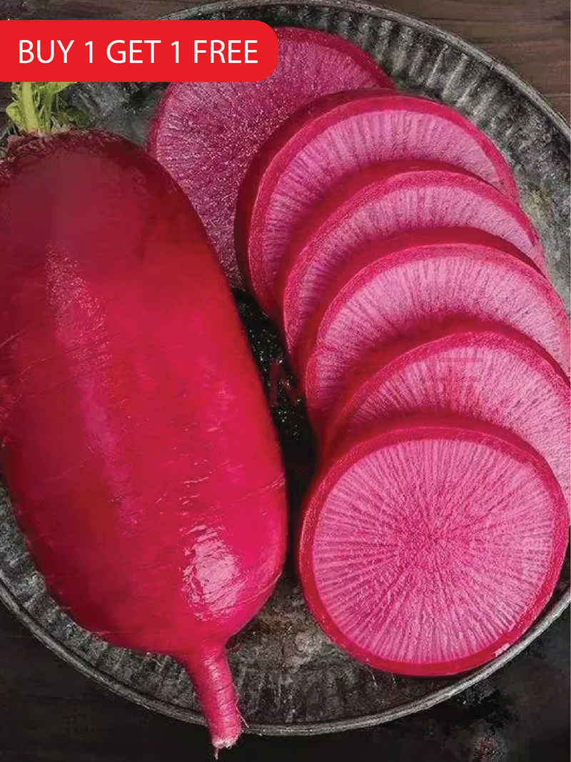 PINEAPPLE RADISH SEEDS <br> بذور فجل الأناناس