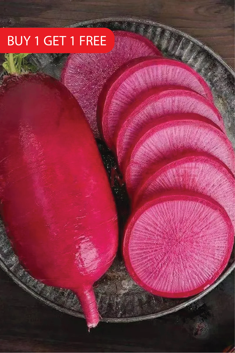 PINEAPPLE RADISH SEEDS <br> بذور فجل الأناناس