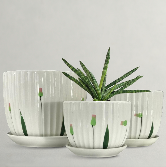 Buy Flower Pots Online 