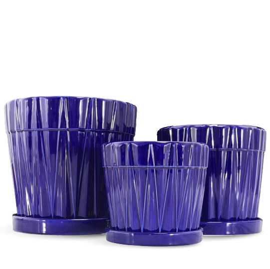  Purple Flower Pot