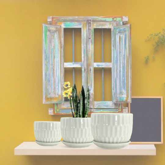  NEW LOOK PLANTERS
