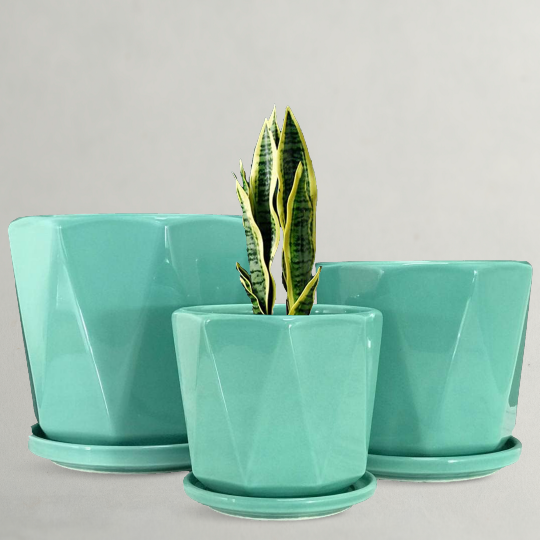 MODERN PLANTERS - CERAMIC PLANTERS / POTS - Plantology Lab Trading