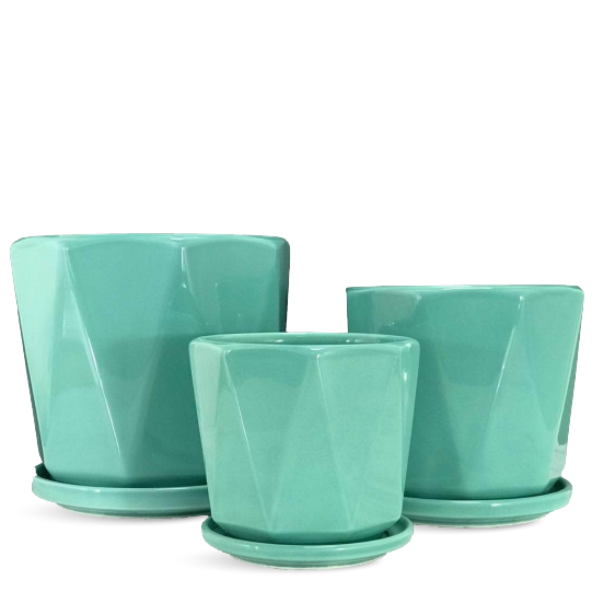 Modern Planters