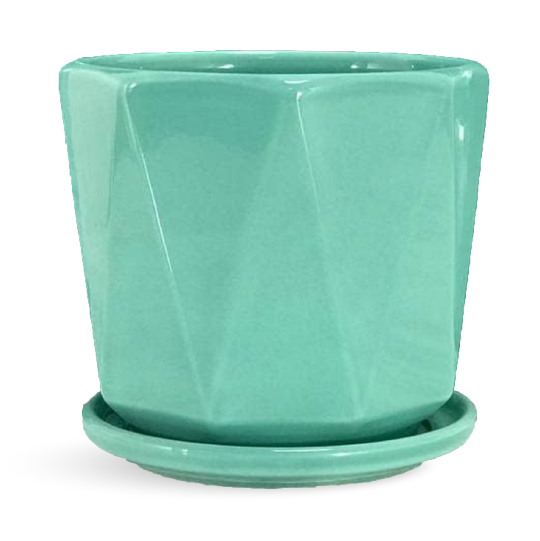 Modern Planters / Pots