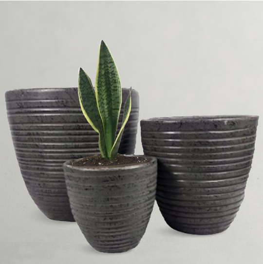 black clay pots for plants Black Clay Plant Pots - Clay Pots