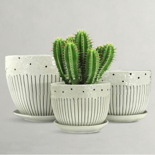Caramic Pot CERAMIC POTS - Plantology Lab Trading