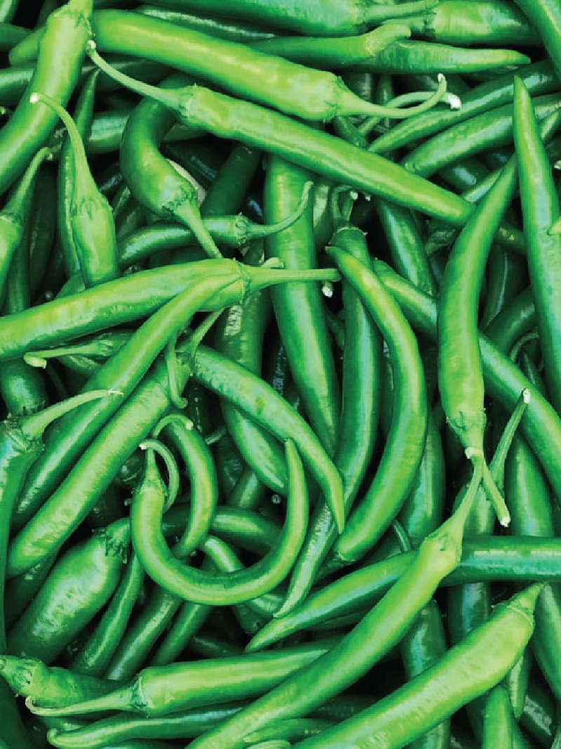 GREEN HOT PEPPER SEEDS