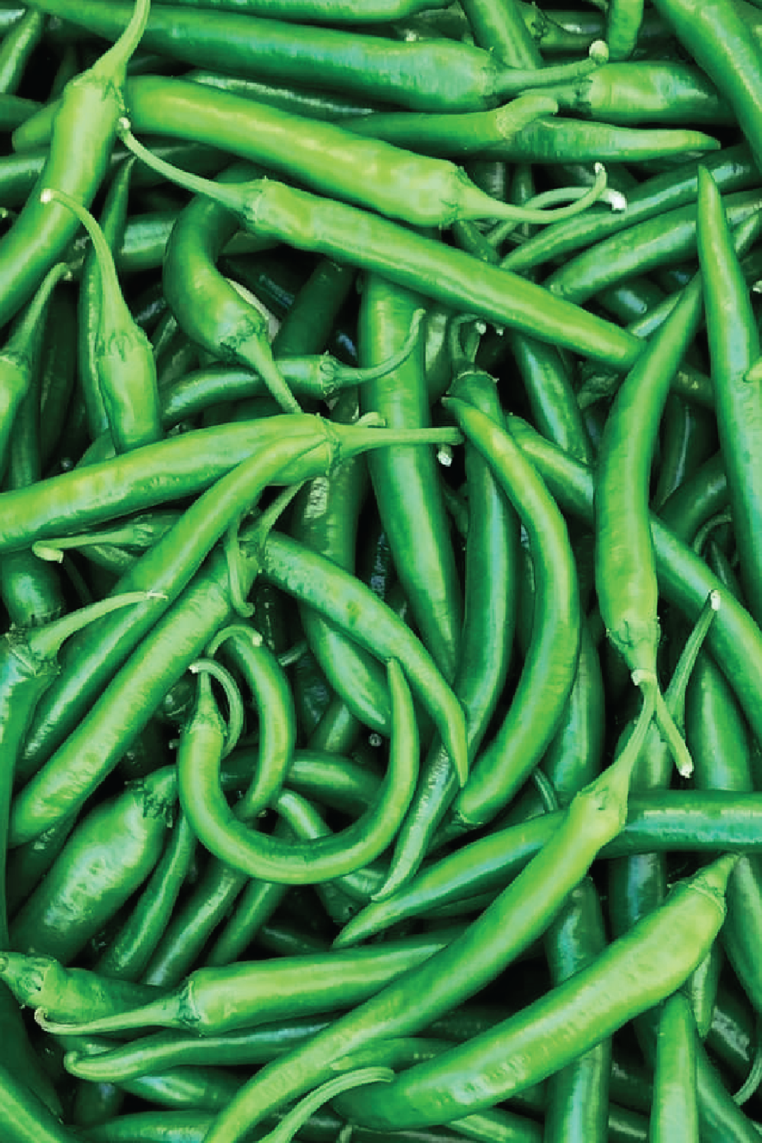 GREEN HOT PEPPER SEEDS