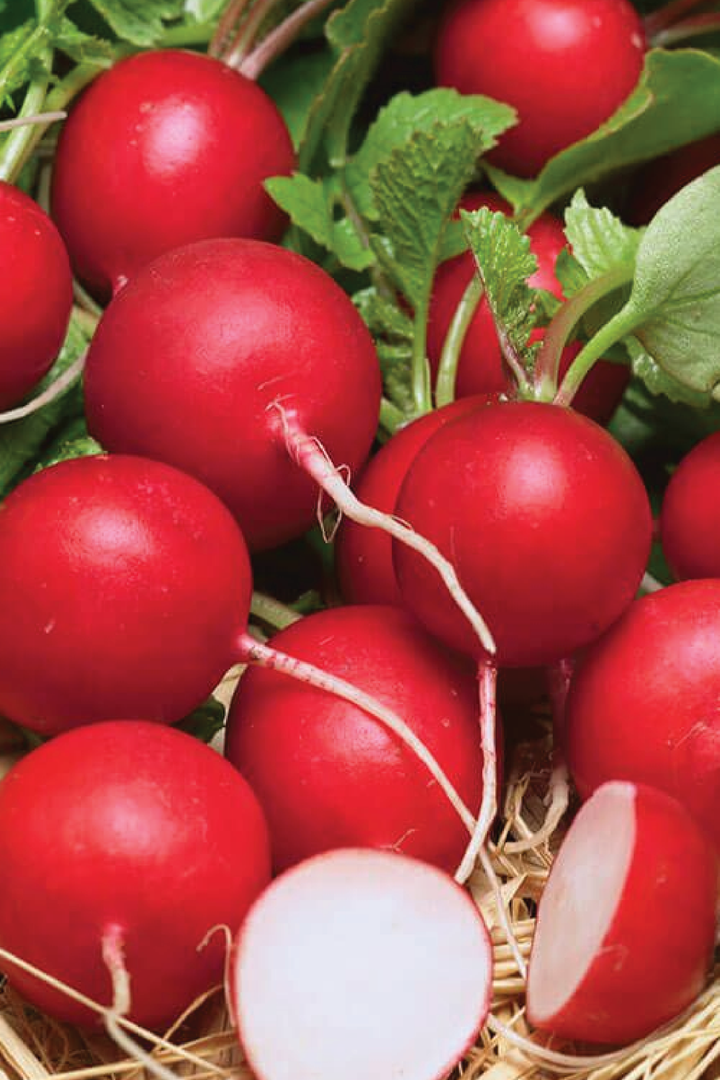 RED RADISH SEEDS
