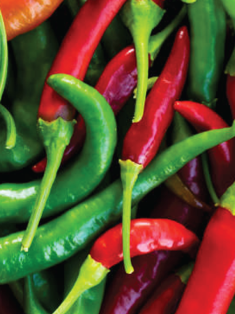 MIX CHILLI SEEDS