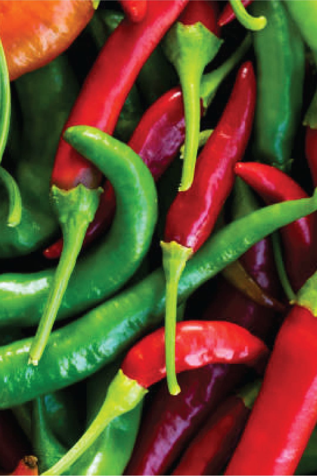 MIX CHILLI SEEDS