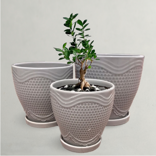Stylish Indoor Outdoor Planters 