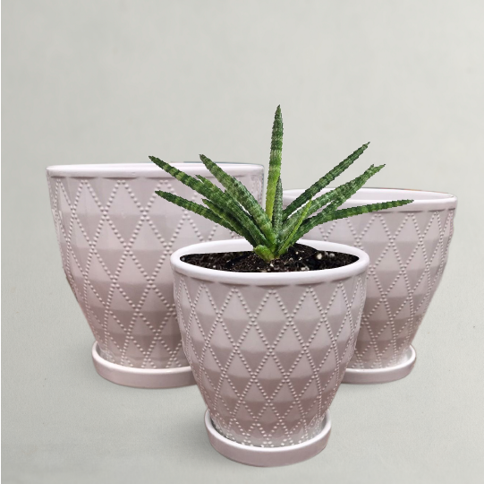Plant Pot, Planter, Indoor & Outdoor 