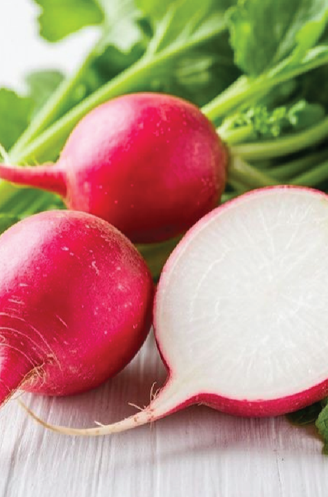 CHERRY RADISH SEEDS <br> بذور الفجل الكرزي