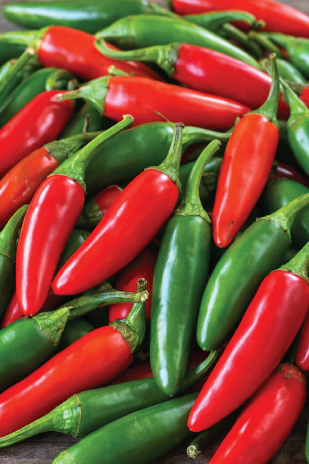 SERRANO CHILI HOT PEPPER SEEDS <br> بذور فلفل سيرانو الحار