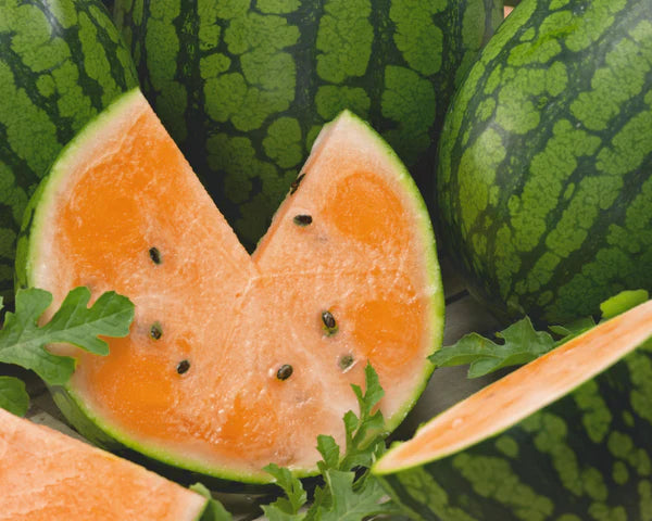 ORGANIC GOLDEN HONEY WATERMELON SEEDLING<br> شتلات بطيخ القولدن العسلي