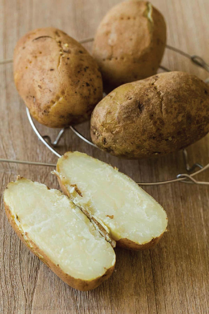 ORGANIC HAMI SWEET POTATO SEEDLING <br> شتلات البطاطا الحلوة هامي العضوية