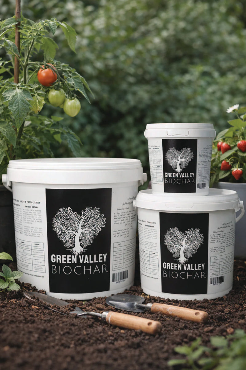 BIOCHAR <br>فحم حيوي