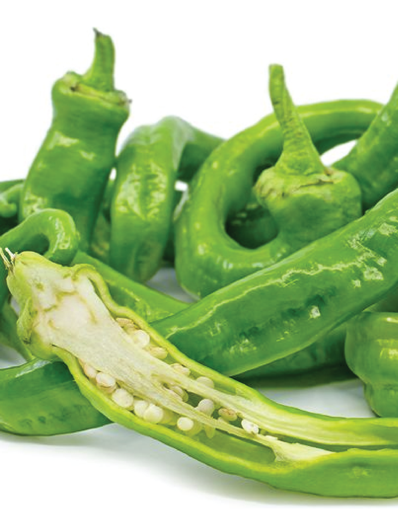 ORGANIC ITALIAN LONG PEPPER SEEDLING<br>شتلات الفلفل الايطالي الطويل العضوية