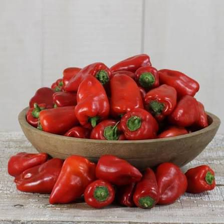 ORGANIC SWEET PEPPER LIPSTICK SEEDLING <br> شتلات الفلفل البارد ليبستيك العضوية