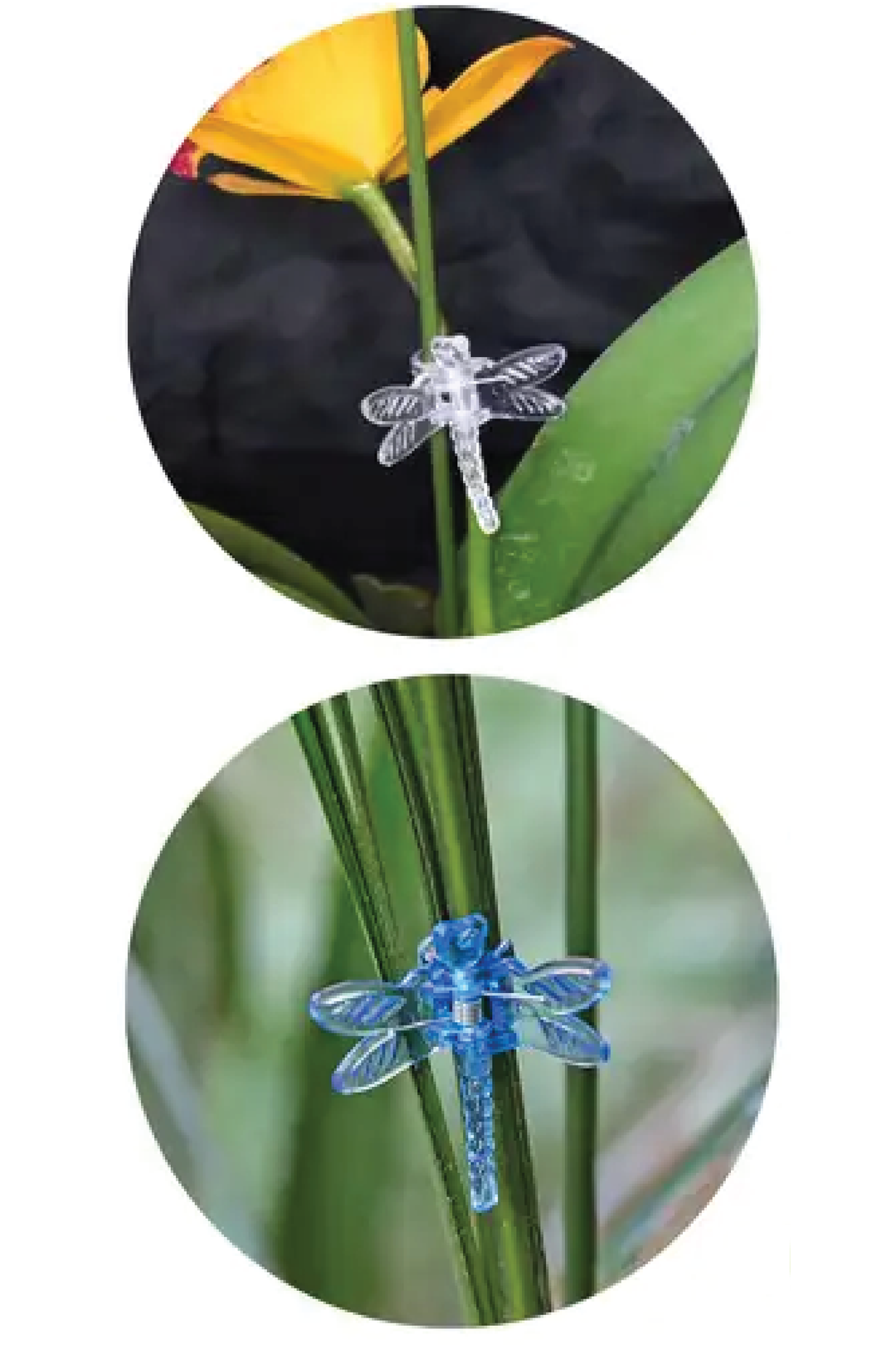DRAGONFLY CLIPS 6 PCS MIX