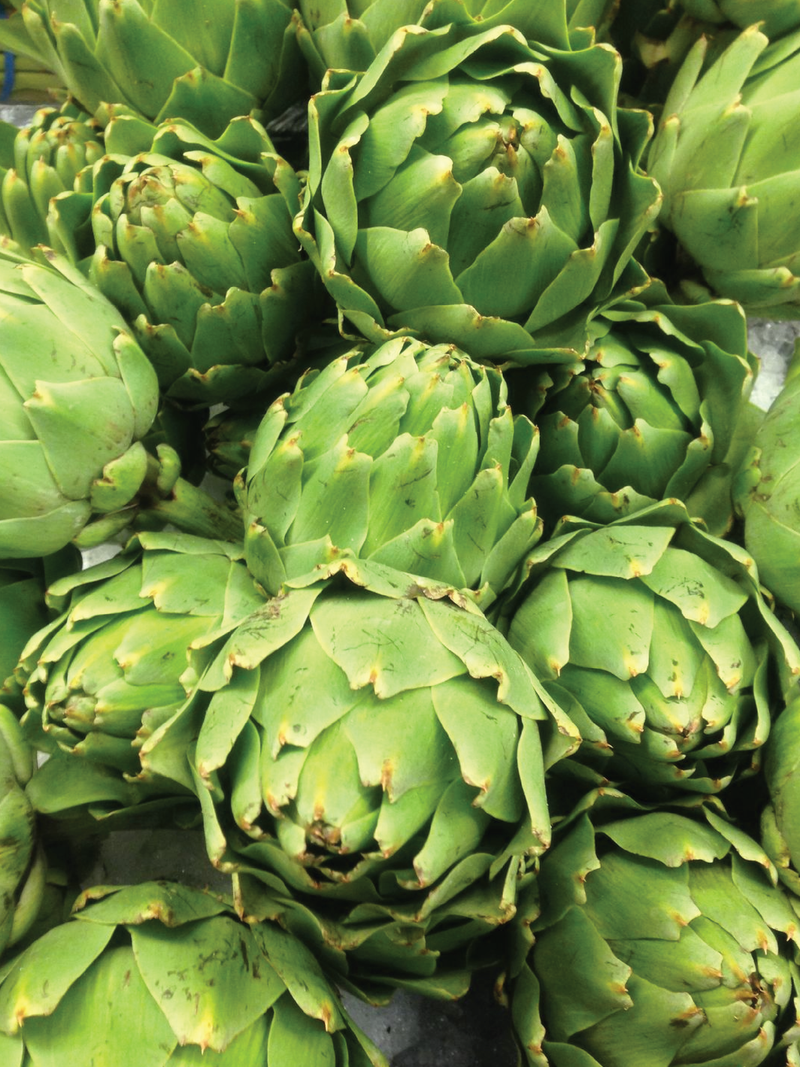 IMPERIAL STAR ARTICHOKE SEEDS <br> بذور الخرشوف امبيريال ستار