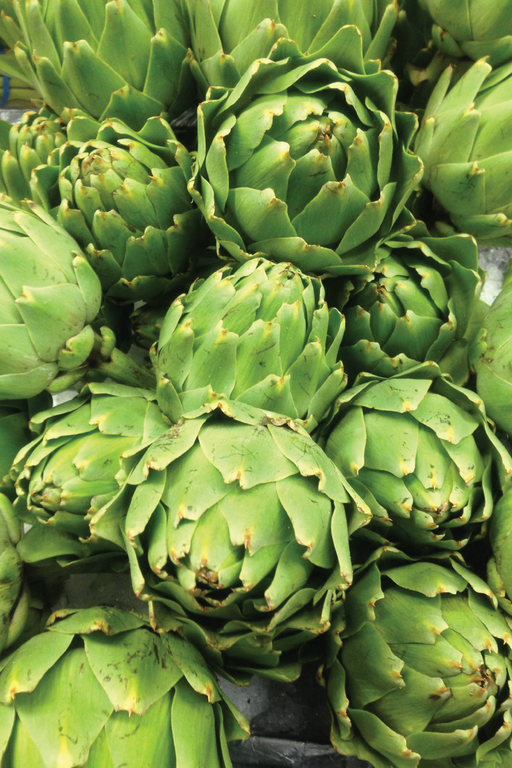 IMPERIAL STAR ARTICHOKE SEEDS <br> بذور الخرشوف امبيريال ستار