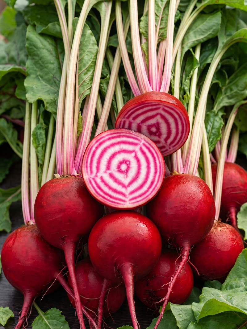 CHIOGGIA BEETROOT SEEDS