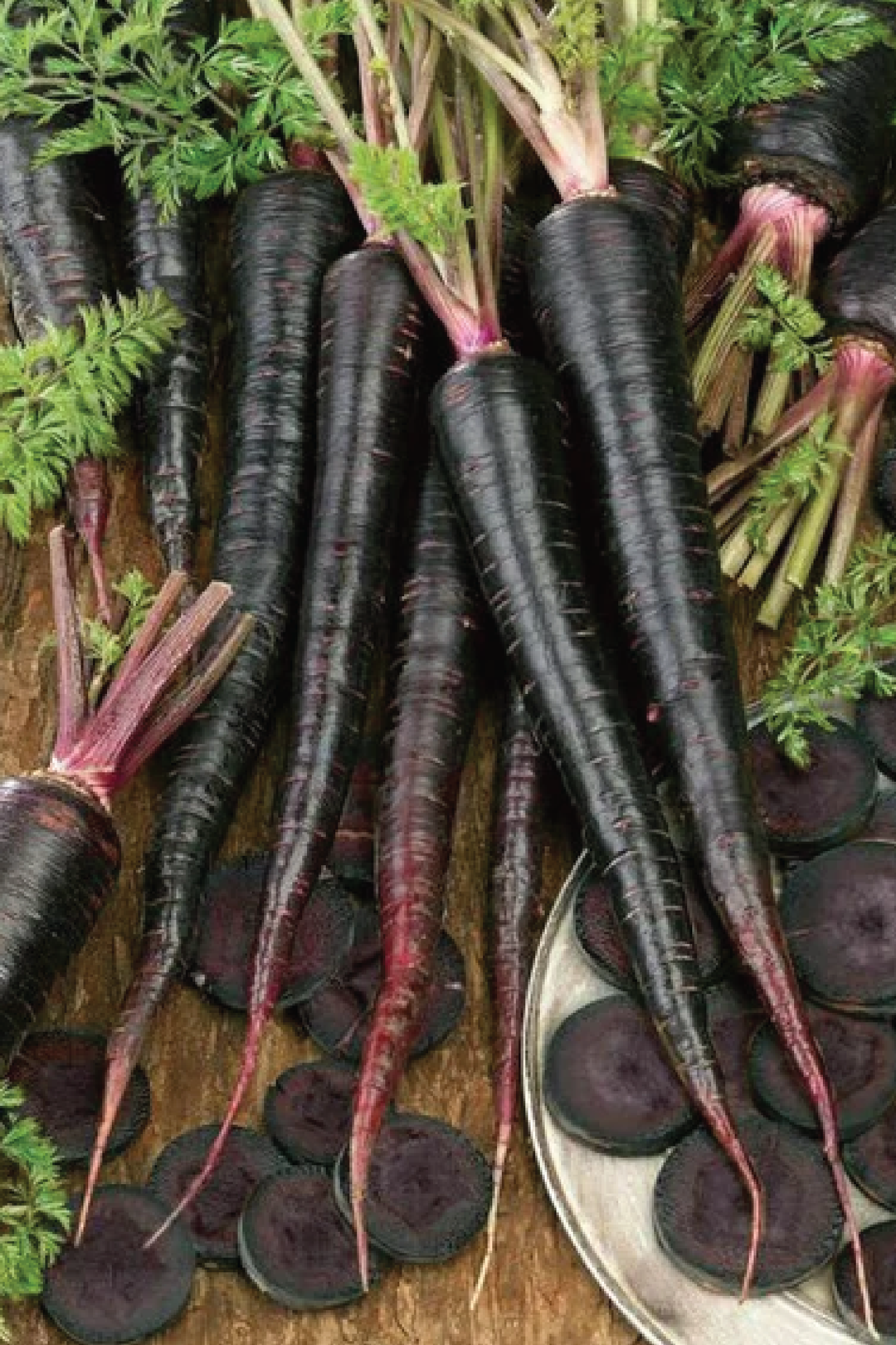 BLACK NEBULA CARROT SEEDS <br> بذور جزر بلاك نيبولا