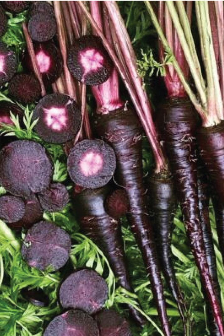 BLACK NEBULA CARROT SEEDS <br> بذور جزر بلاك نيبولا