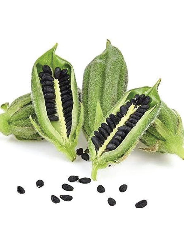 BLACK SESAME SEEDS