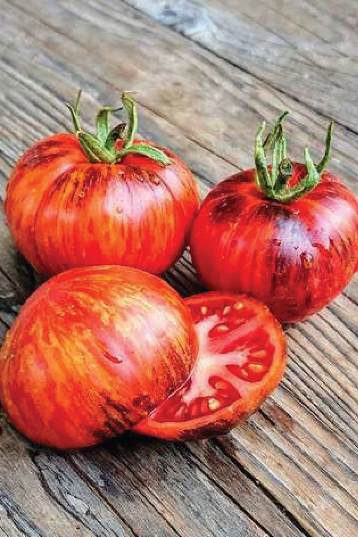 ORGANIC BLACK SHADOW TOMATO SEEDLING <br> شتلات طماطم بلاك شادو العضوية