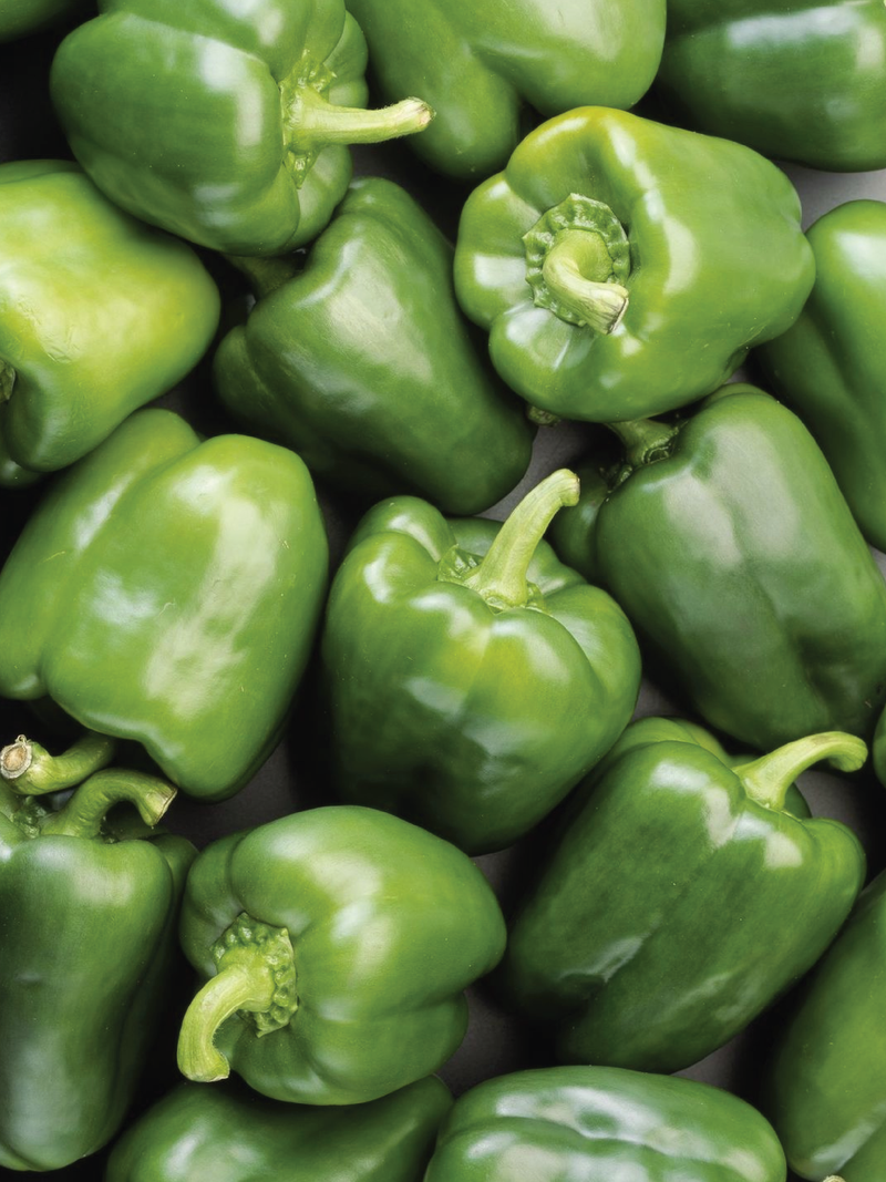 GREEN CAPSICUM SEEDS <br> بذور الفليفلة الخضراء
