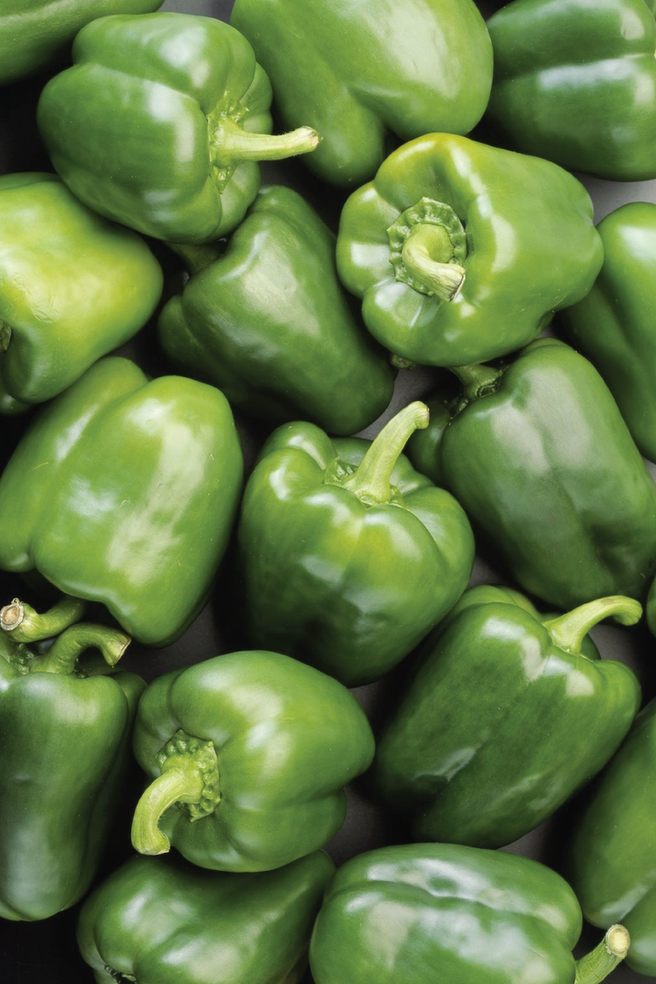 GREEN CAPSICUM SEEDS <br> بذور الفليفلة الخضراء